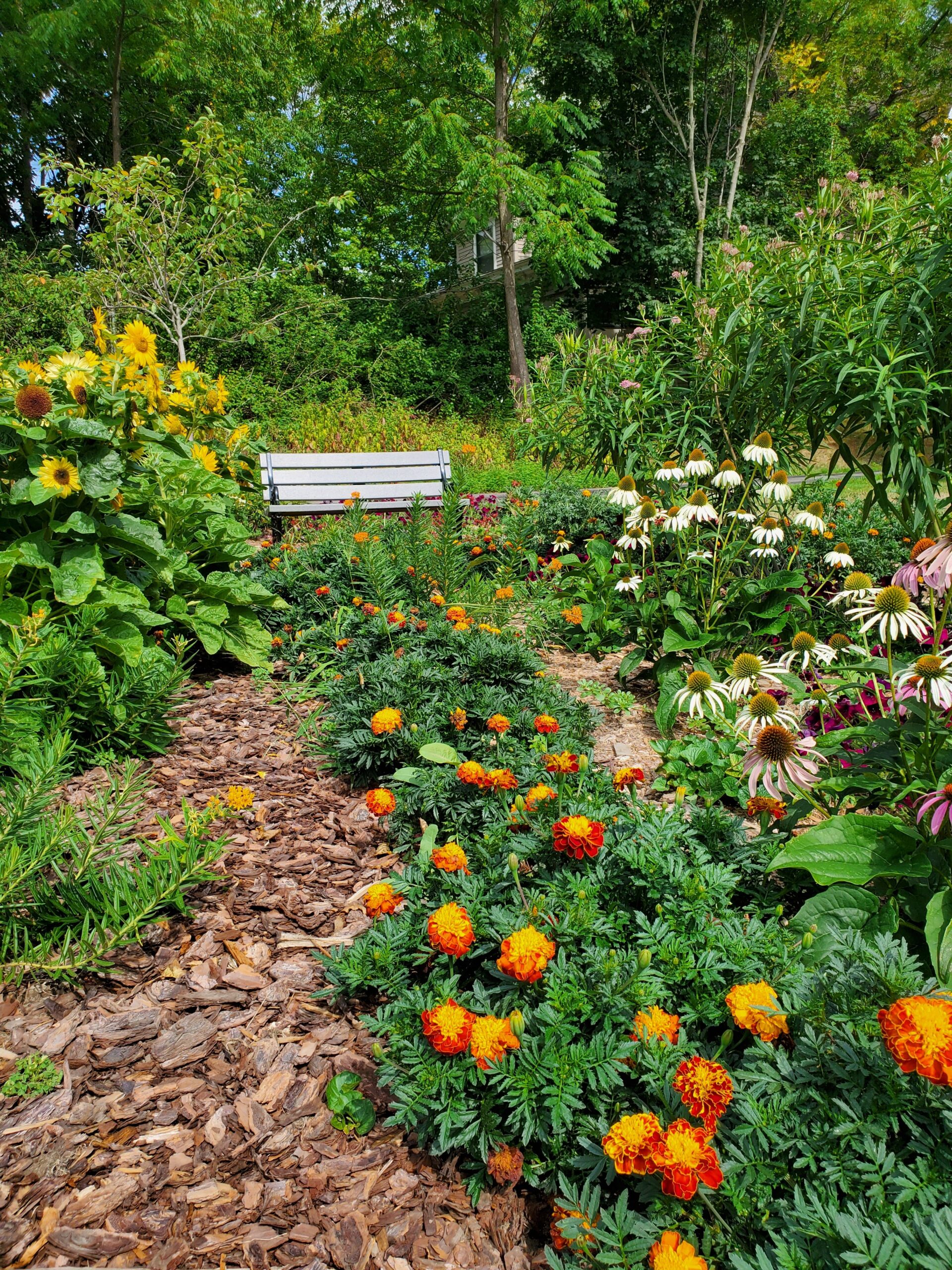 The Friends of the Coburn Free Library Coburn Free Library