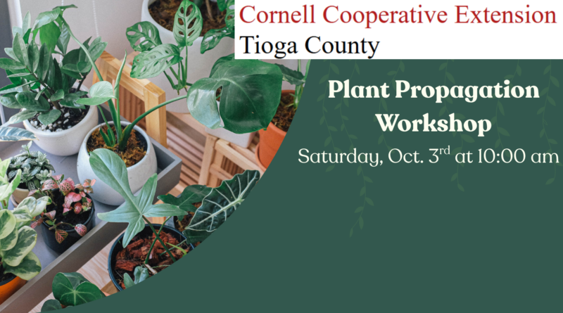 Cornell Cooperative Extension Plant Propagation Workshop